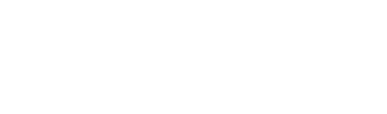 Coach Executivo Carlos Borges - logo branco